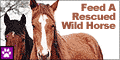Rescued Wild Horse Food Kit