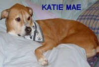 Katie Mae, loved by the Conary family