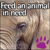 Animal Rescue Site