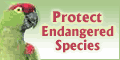 Protect Endangered Species at EcologyFund.com