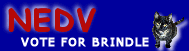 HELP BRINDLE ROCK THE VOTE - REGISTER NOW